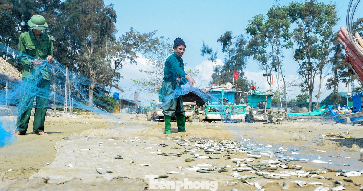 'Vượt khó' bám biển khi giá nhiên liệu tăng cao