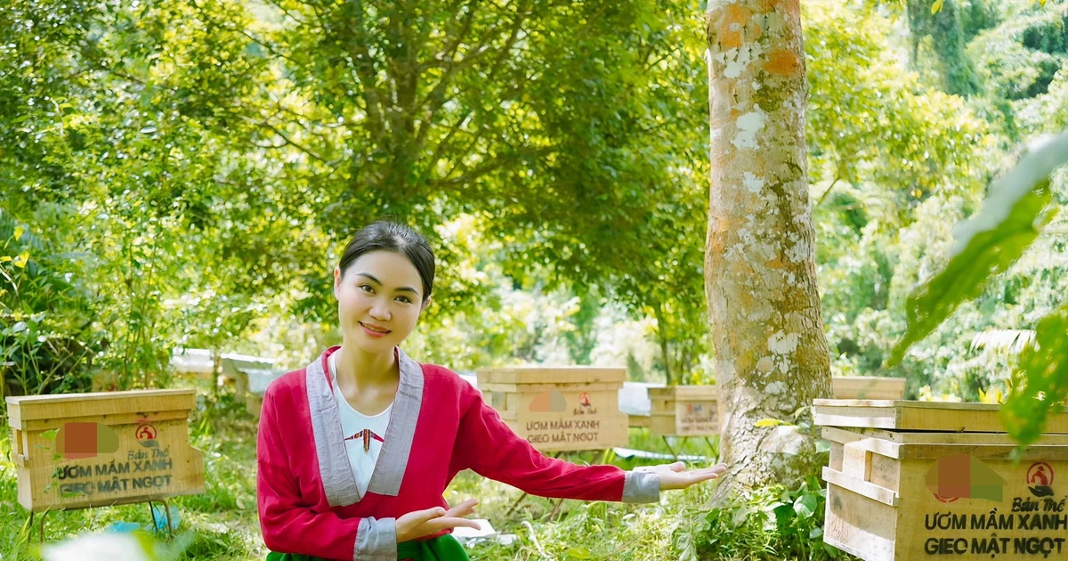 Hành trình đánh thức sinh kế từ rừng của cô gái xứ Thanh ứng cử đại biểu Quốc hội