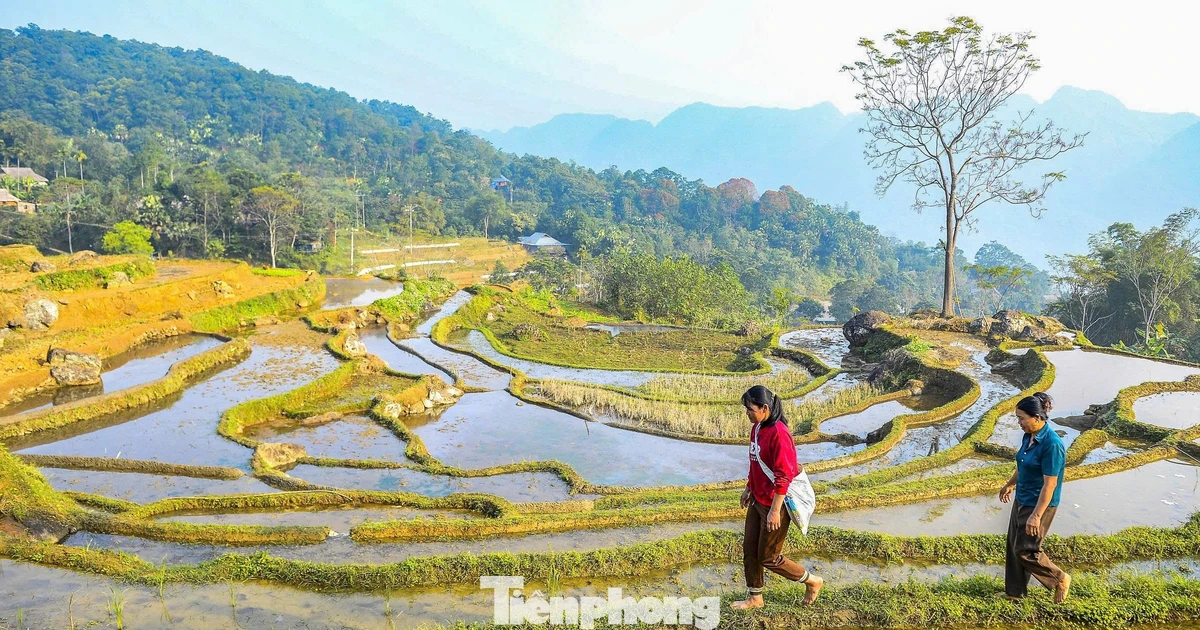 Vẻ đẹp ruộng bậc thang Pù Luông mùa nước đổ