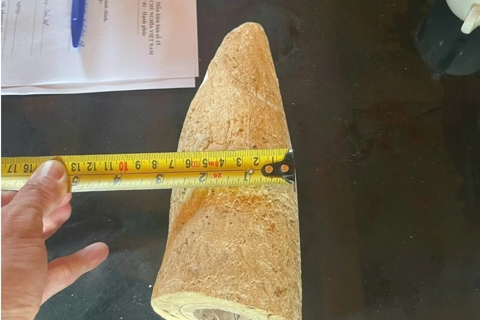 Nhặt được vật nghi ngà voi dưới sông rồi rao bán trên mạng