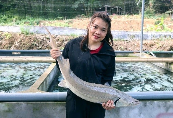 Cô gái Mường nuôi cá tầm ở Thanh Hóa trúng cử đại biểu HĐND tỉnh