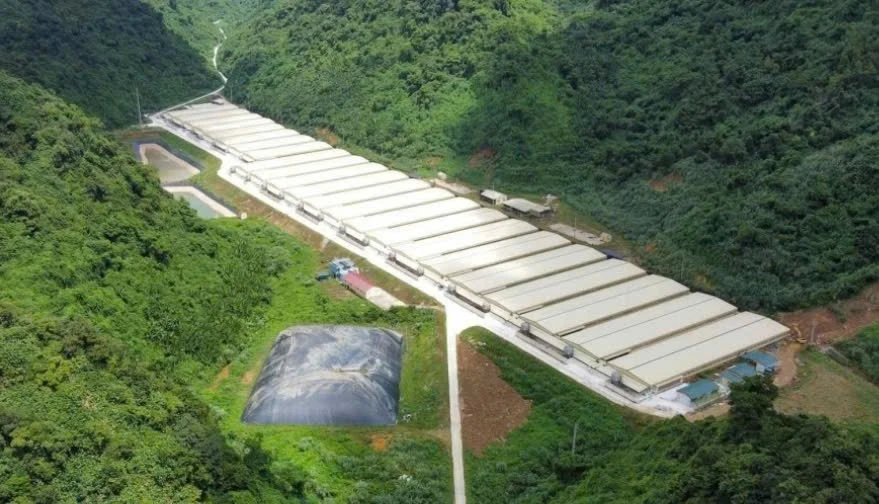 Ba người tử vong do tai nạn ở trang trại chăn nuôi lợn tại Thanh Hóa