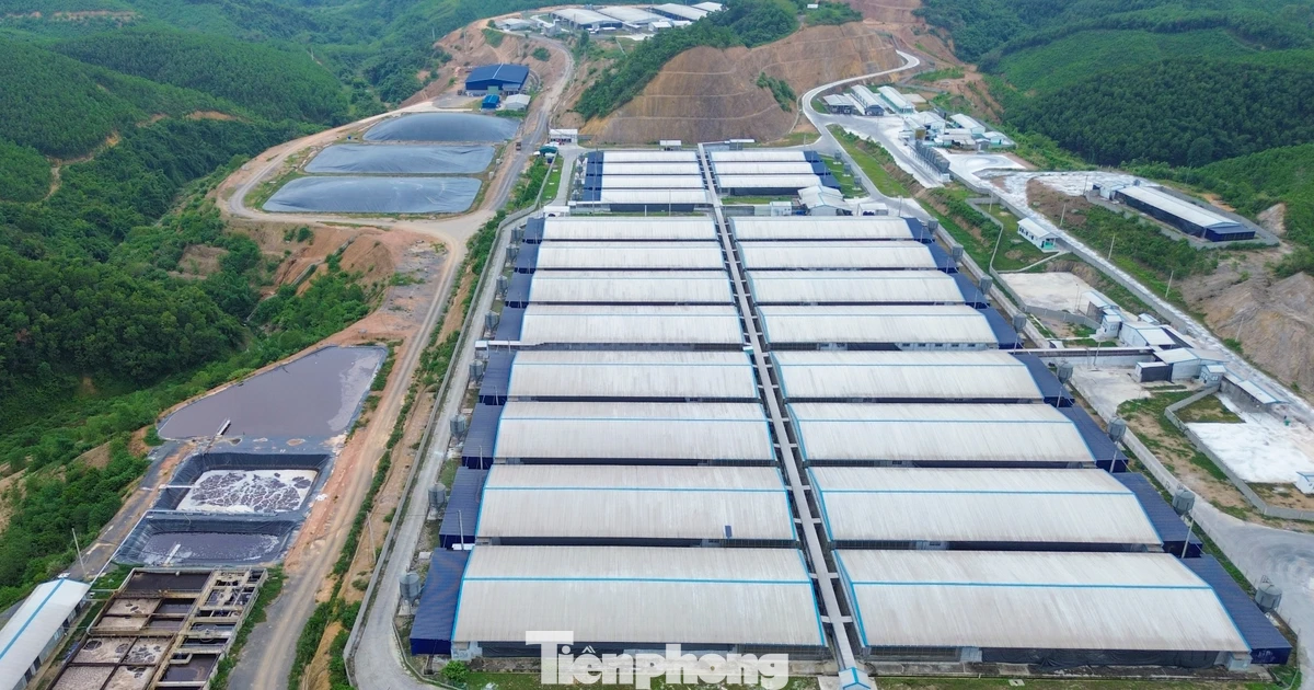 Một xã ‘gánh’ bảy trại lợn với quy mô hơn 100.000 con, chính quyền lo thành điểm nóng môi trường