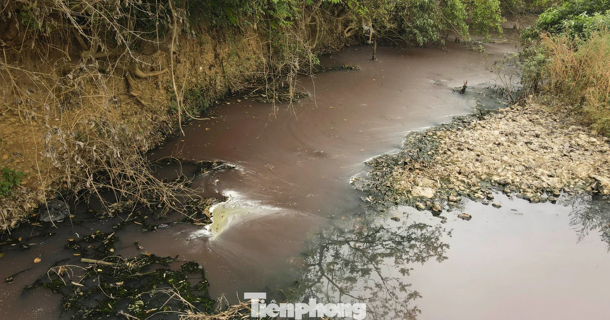 Mới nhất vụ nước giếng khoan đổi màu tím bất thường