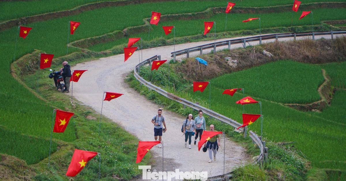 Đẹp mê mẩn con đường rợp cờ đỏ sao vàng ở xứ Thanh mừng ngày bầu cử