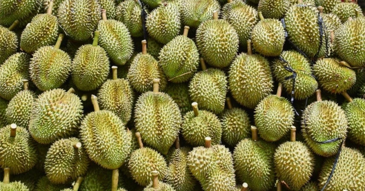 Giá sầu riêng trái vụ bất ngờ rớt mạnh, vải thiều Úc gần 5 triệu/thùng 5kg