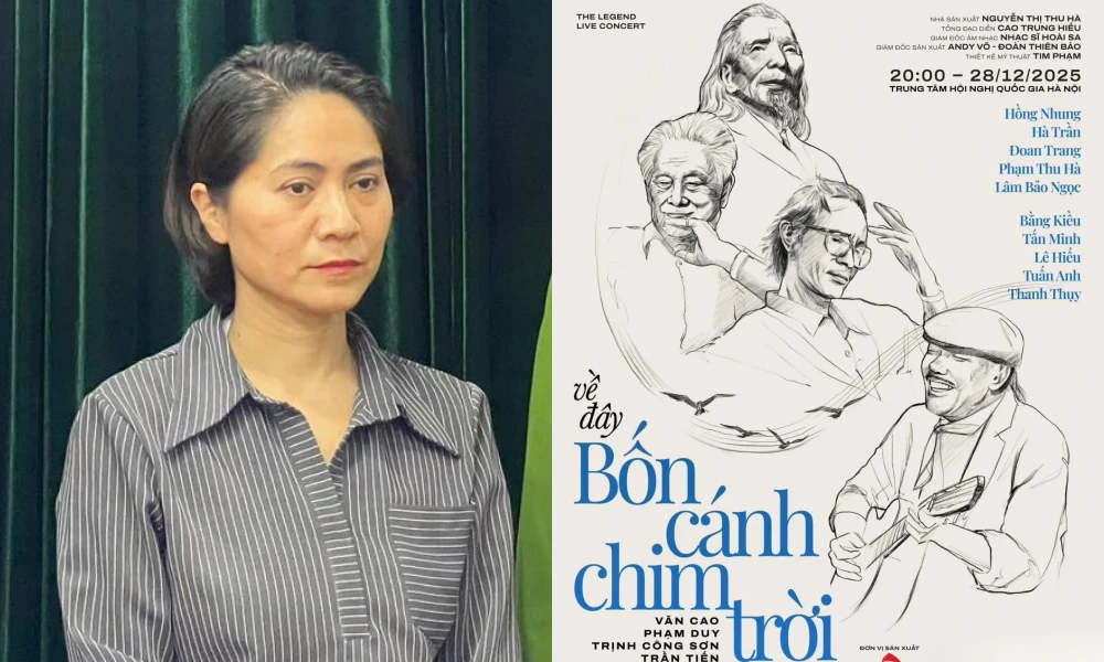 Giám đốc công ty tổ chức chương trình ca nhạc bị hủy sát giờ diễn sẽ đối diện với mức án nào?