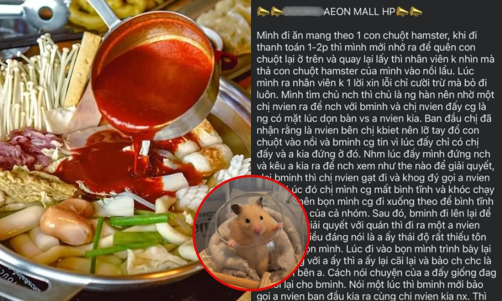 Vụ chuột hamster của khách "rơi vào nồi lẩu” tại AEON Mall Hải Phòng: Nhà hàng nói gì?