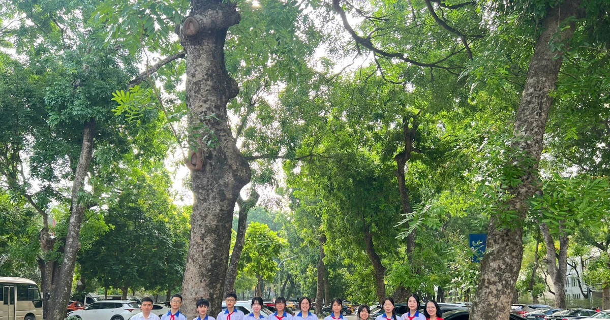 Thầy giáo Tuyên Quang chia sẻ kỳ vọng dành cho các học trò tại vòng Chung kết AIMO
