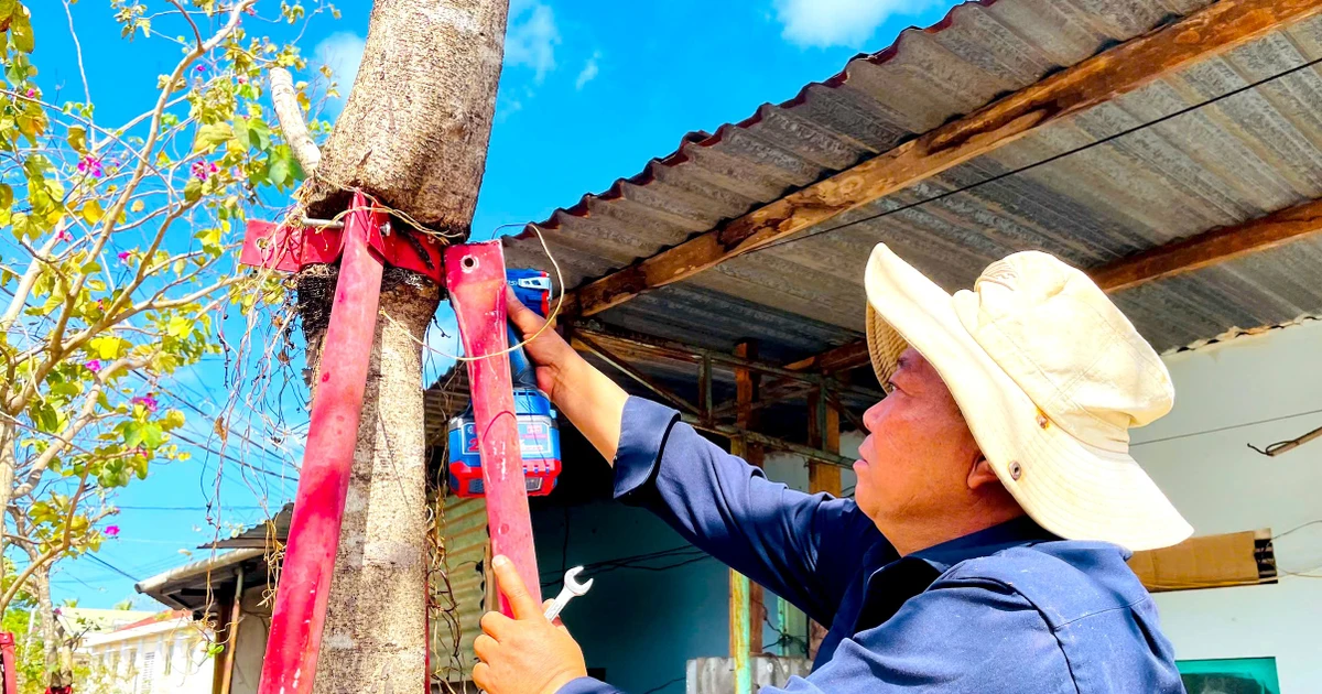 Tháo dỡ 170 cùm sắt 'bóp cổ' hàng cây hoa ban ở Gia Lai