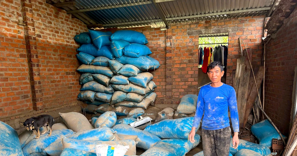 Ứa nước mắt đổ bỏ thóc mọc mầm, người dân trắng tay sau mưa lũ