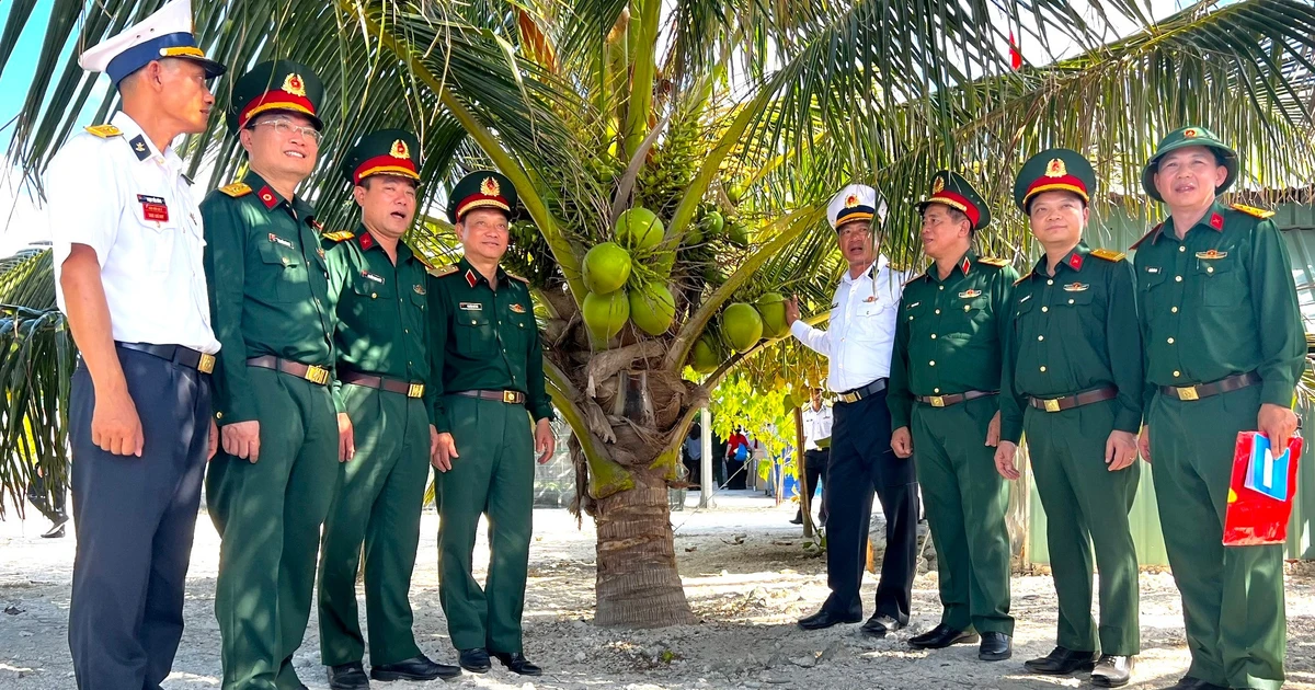 Dừa cho quả ngọt giữa nắng gió Trường Sa