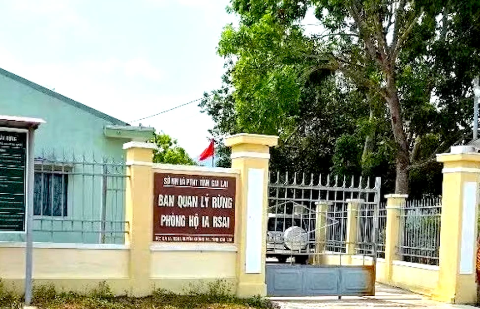 Bắt giám đốc ban quản lý rừng phòng hộ ở Gia Lai