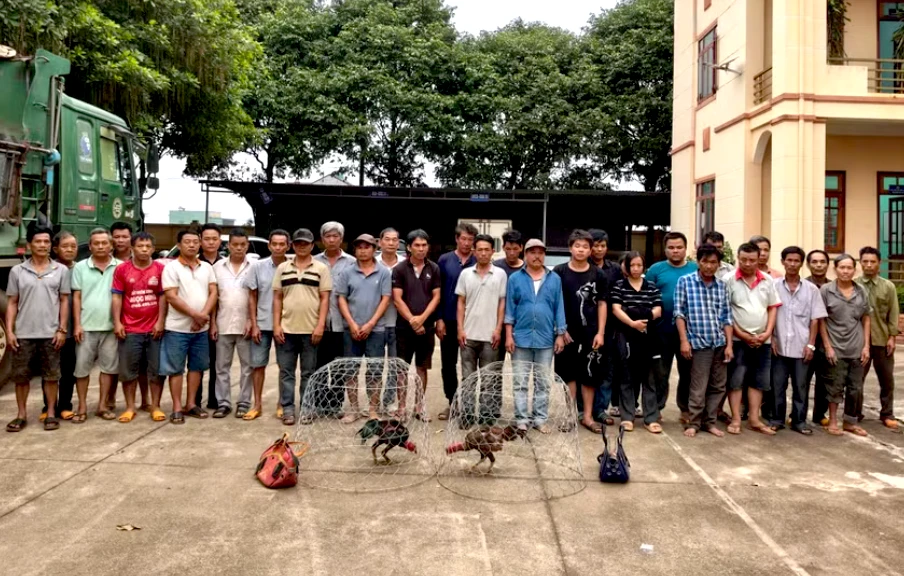 Lời khai của đối tượng tổ chức trường gà quy mô lớn ở Gia Lai