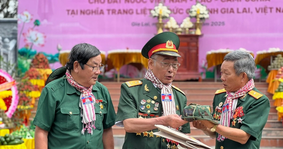 Gia Lai: Những Giọt Nước Mắt Xúc Động Trong Lễ Tri Ân Anh Hùng Liệt Sĩ Tại Nghĩa Trang Đức Cơ