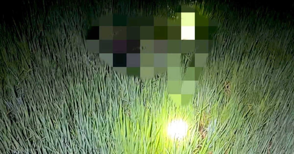 Khởi tố người đặt bẫy chuột bằng điện khiến 2 người tử vong