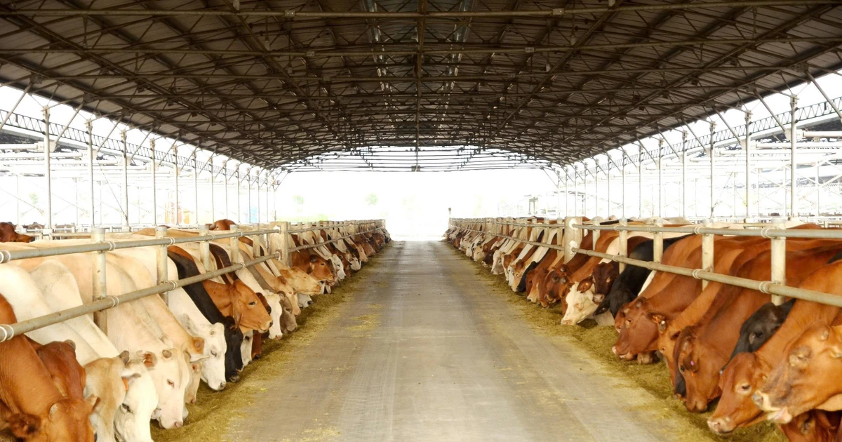 Nông nghiệp Hòa Phát chính thức nộp hồ sơ IPO, chào bán 30 triệu cổ phiếu