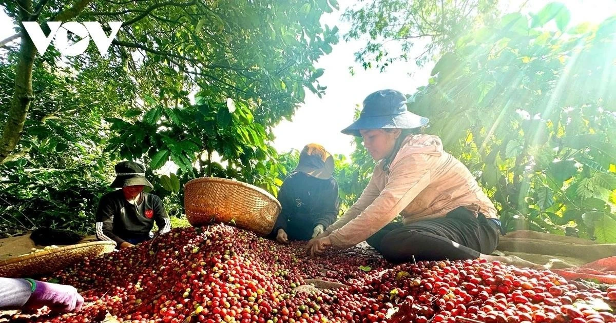 Cần cơ chế tháo gỡ cho các doanh nghiệp nông lâm ở các địa bàn khó khăn