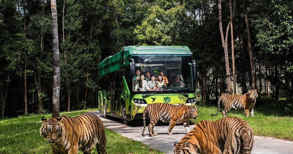 Trọn bộ trải nghiệm độc nhất biến Phú Quốc trở thành điểm đến nhất định phải thử mùa hè này