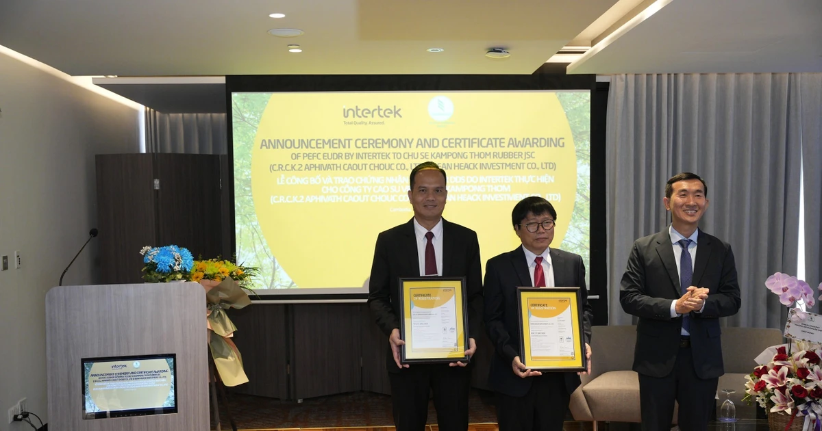Cao su Chư Sê – Kampong Thom: Đơn vị đầu tiên trên thế giới đạt Chứng nhận PEFC EUDR