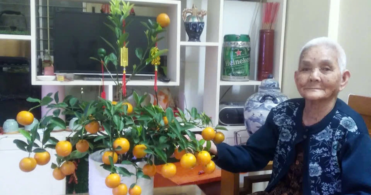 Gần lắm, Gạc Ma...