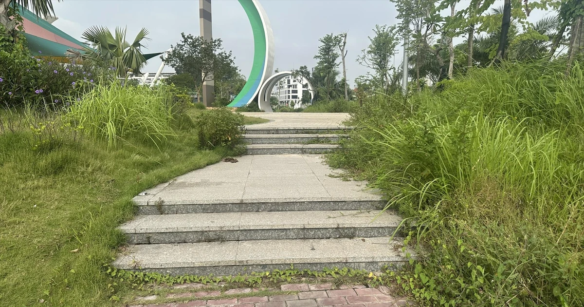 Vườn hoa cây xanh bị bỏ rơi?