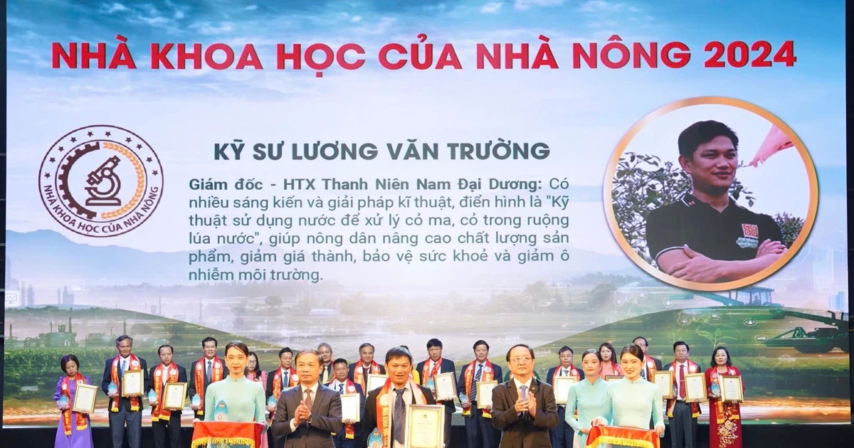 Khởi nghiệp từ đồng đất quê hương - Bài cuối: Đưa hạt giống chinh phục thị trường khó tính