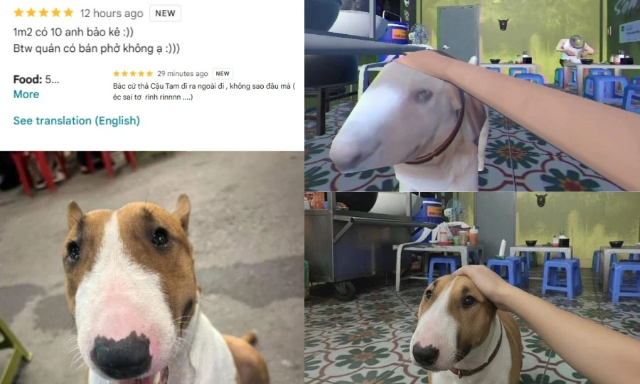 "Cậu Vàng" quán anh Hai ngoài đời là "nữ nhi", cũng trông tiệm nhưng không bán phở