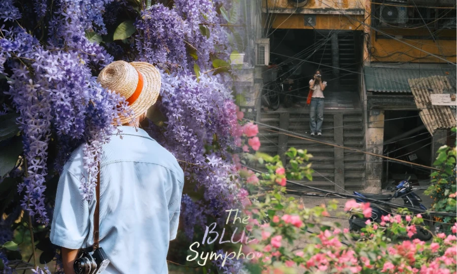 3 góc hoa hot nhất Hà Nội lúc này: Công viên Thống Nhất và thực vật cảnh đắt khách