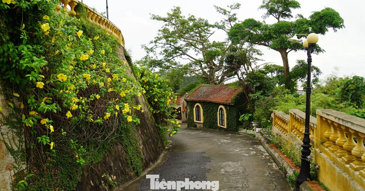 Lạ mắt lối đi mới dẫn vào khu vực dinh thự vua Bảo Đại ở Đồ Sơn
