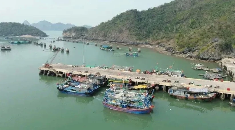 Hải Phòng: Khởi tố phó giám đốc doanh nghiệp cưỡng đoạt tài sản của đối tác