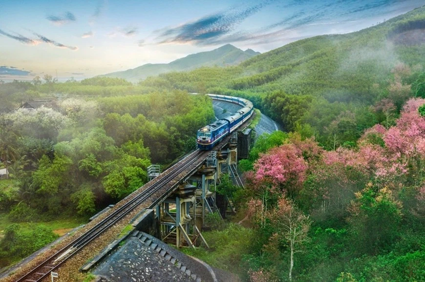 tienphong.vn