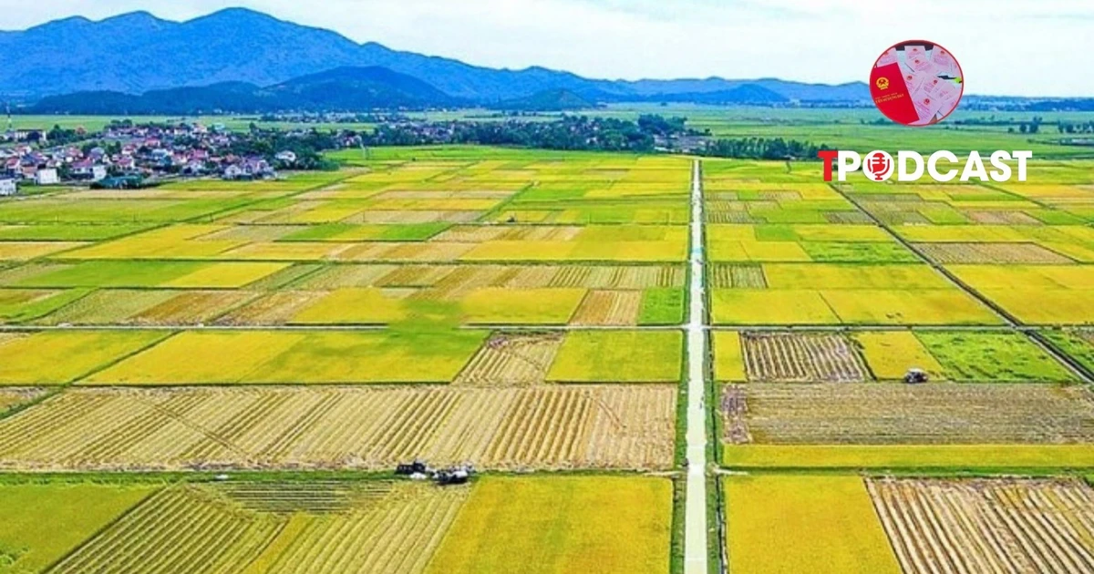 Điều kiện, thủ tục, tiền sử dụng đất khi chuyển đất ruộng thành đất ở