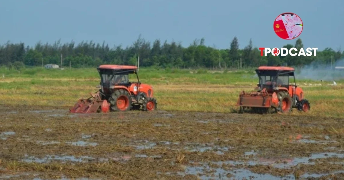 Có được thế chấp quyền sử dụng đất thuê trả tiền hằng năm?