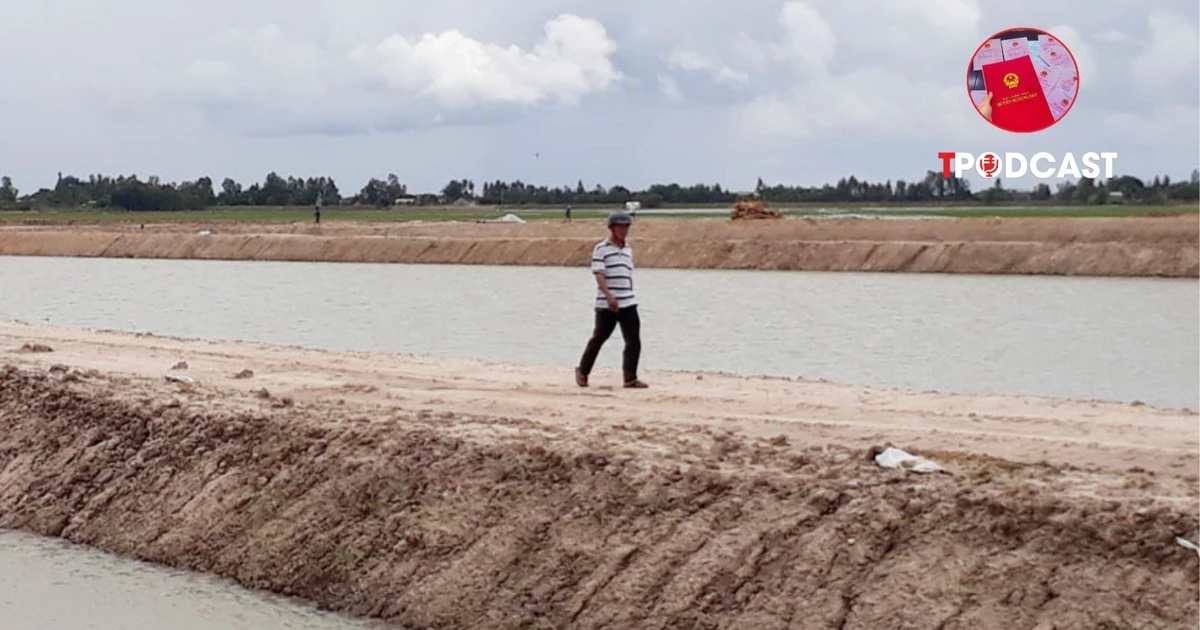 Xác định loại đất theo Giấy chứng nhận, không theo hiện trạng