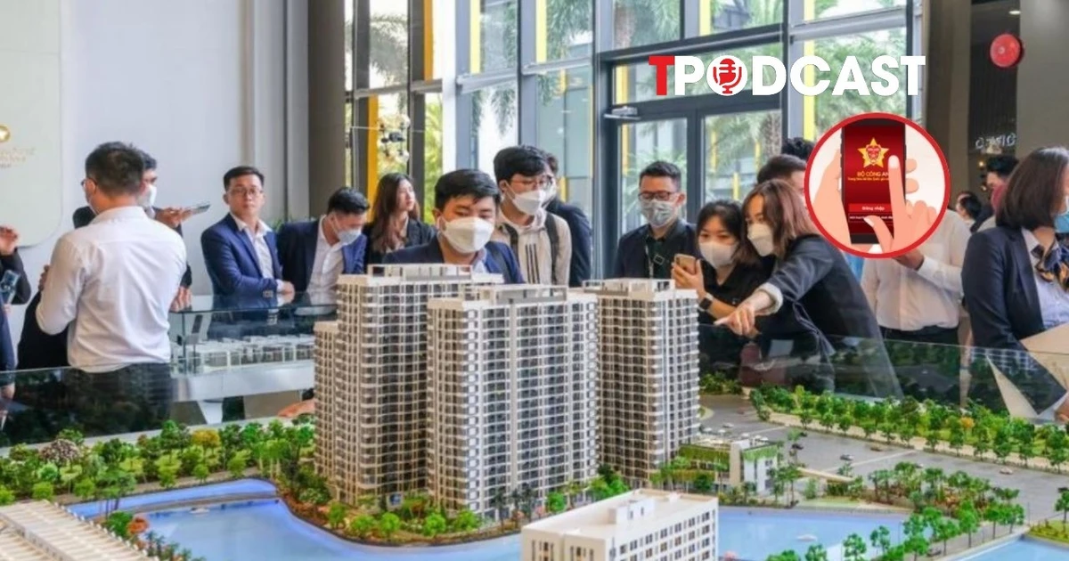 Chính phủ yêu cầu triển khai thí điểm vận hành sàn giao dịch BĐS trước ngày 28/2/2026