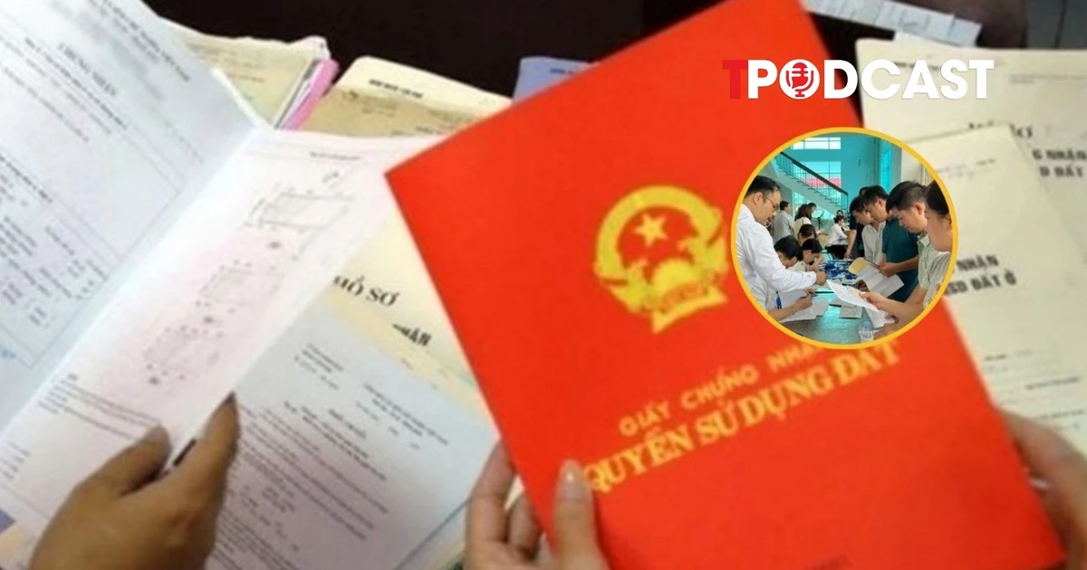 Bỏ cọc đấu giá đất có thể bị cấm hoạt động đến 5 năm