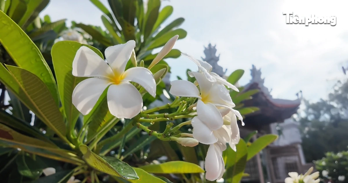 Những điểm tựa tâm linh nơi đầu sóng Trường Sa