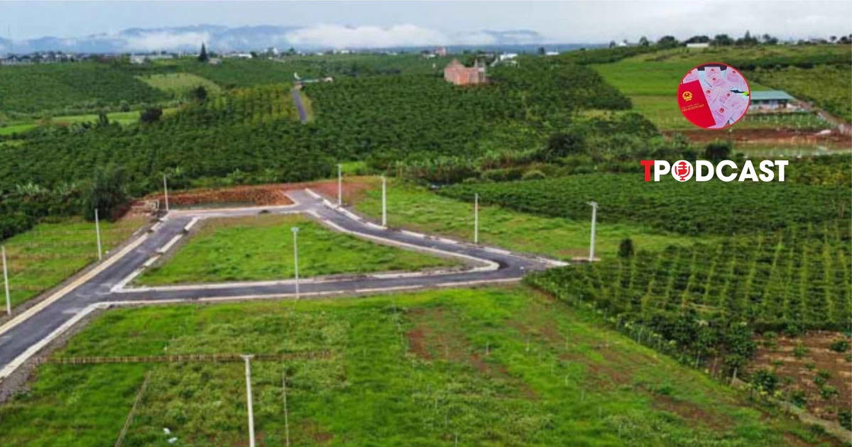 Chuyển mục đích một phần thửa đất có phải tách thửa?