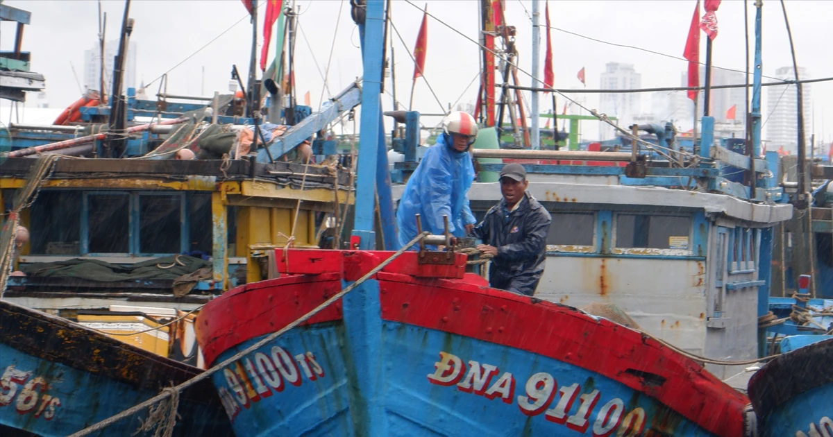 Ngư dân Đà Nẵng đội mưa xối xả, neo đậu tàu thuyền tránh bão số 10