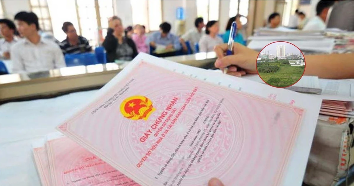 Vợ hoặc chồng chết, cha mẹ hai bên chuyển nhượng nhà đất có được miễn thuế?