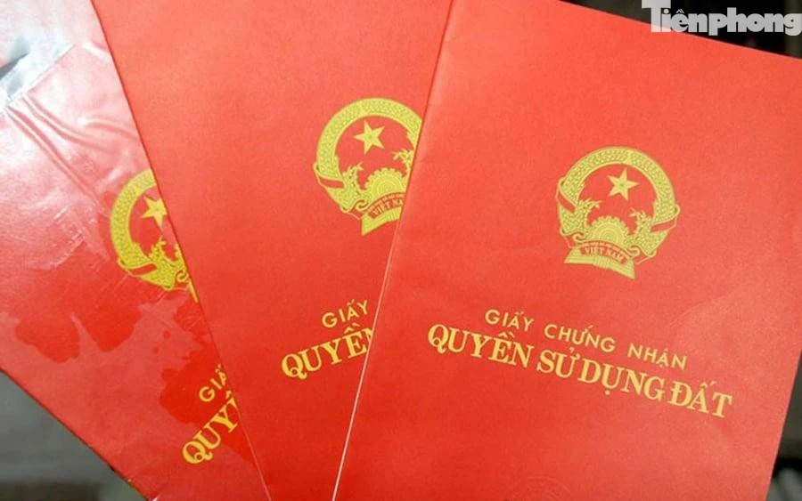 Cách xử lý sổ đỏ chỉ ghi tên đại diện hộ gia đình