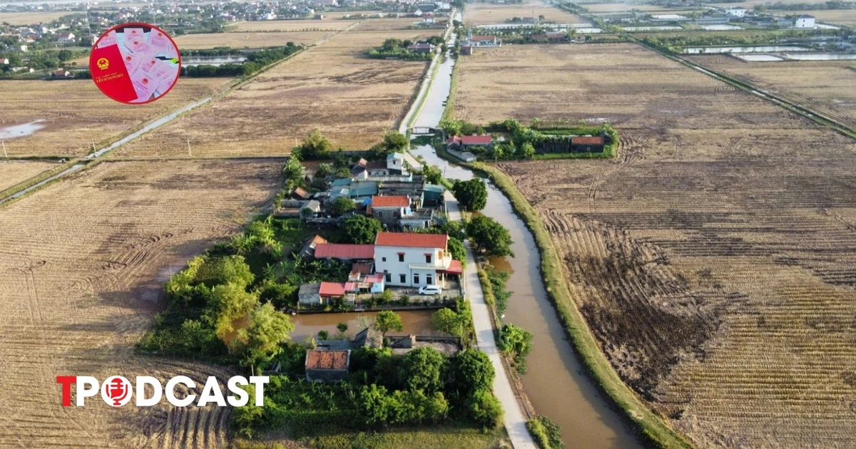 Chuyển đất lúa sang đất ở, có cần đánh giá môi trường?