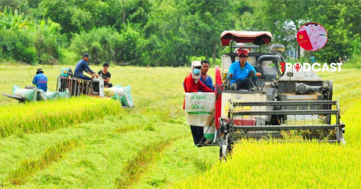 Sử dụng đất sai mục đích, khi bị thu hồi có được bồi thường cây trồng vật nuôi?