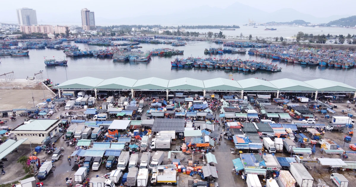 Cảng cá lớn nhất miền Trung sẽ thành cảng du lịch