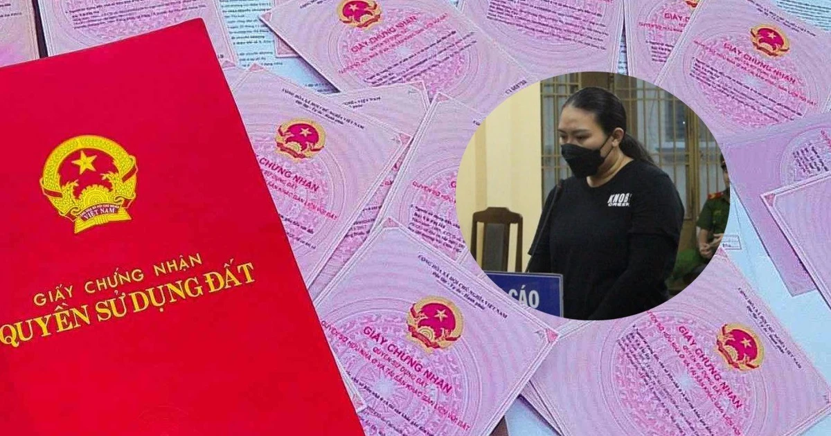 Đấu giá 11 lô đất của 'nữ quái' lừa đảo bán đất ảo ở Đà Nẵng