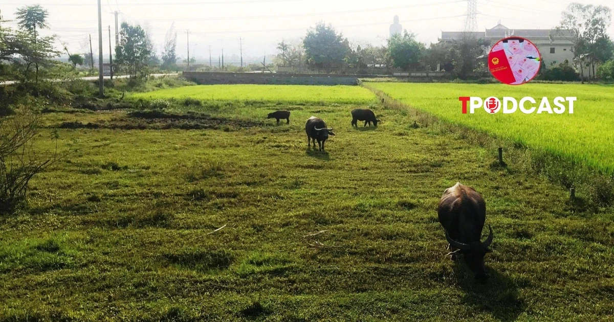Bãi bỏ quy định dành 10% nguồn thu đất đai cho đo đạc và cấp giấy chứng nhận