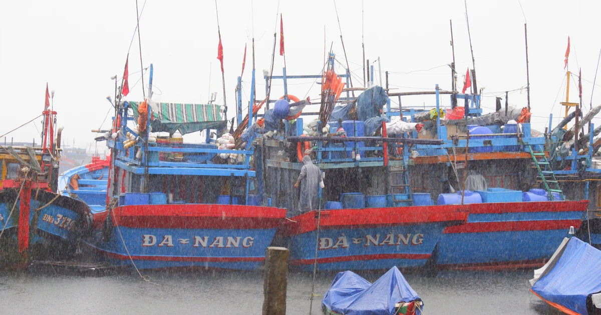 Ứng phó siêu bão Ragasa: Đà Nẵng sẵn sàng cấm biển, Lào Cai sẽ di dời dân để tránh sạt lở