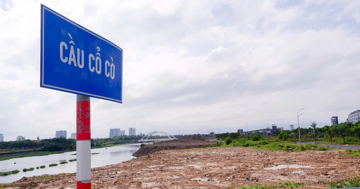 Đà Nẵng giám sát chặt việc đổ đất ở sông Cổ Cò