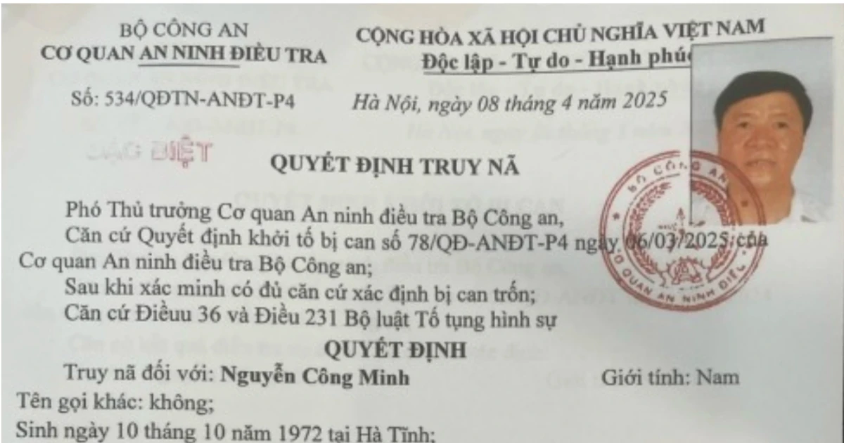 Đề nghị truy tố vắng mặt Chủ tịch HĐQT Công ty cây xanh Công Minh